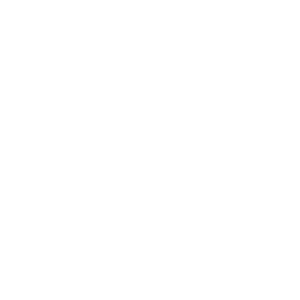 anno scolastico in brasile
